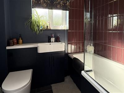 Picture 15
